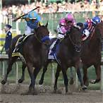 best exacta bet for kentucky derby